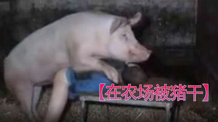 [在农场被猪干]男人被干挺爽。